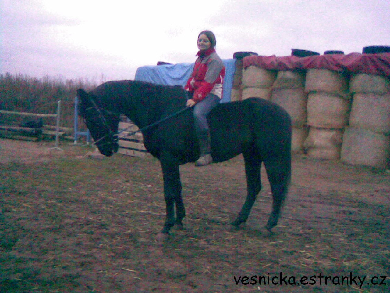 Snímka025.jpg