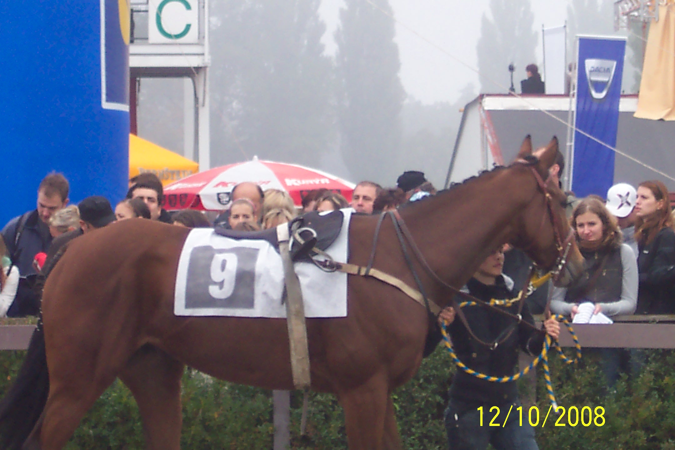 Velka pardubicka 2008 084.jpg