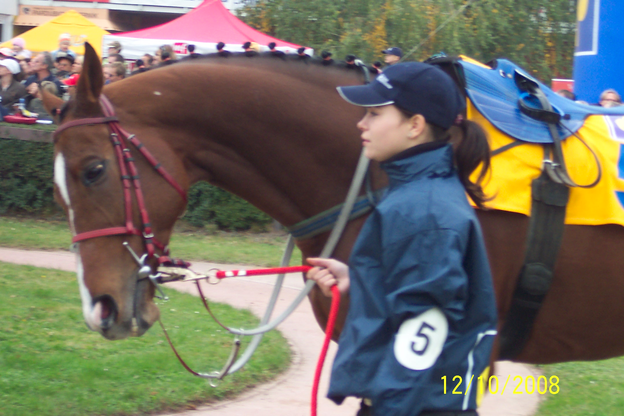 Velka pardubicka 2008 095.jpg