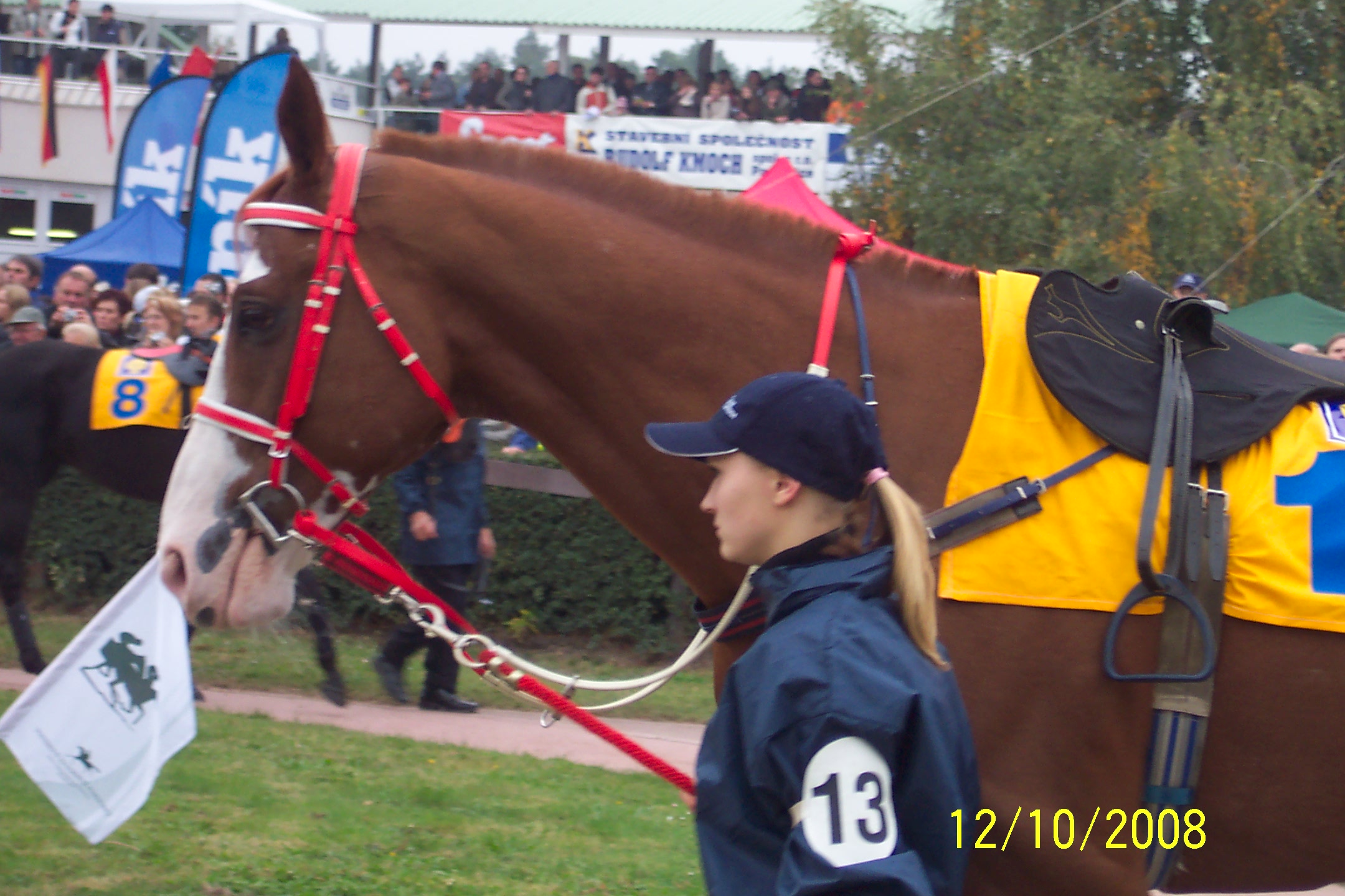 Velka pardubicka 2008 101.jpg