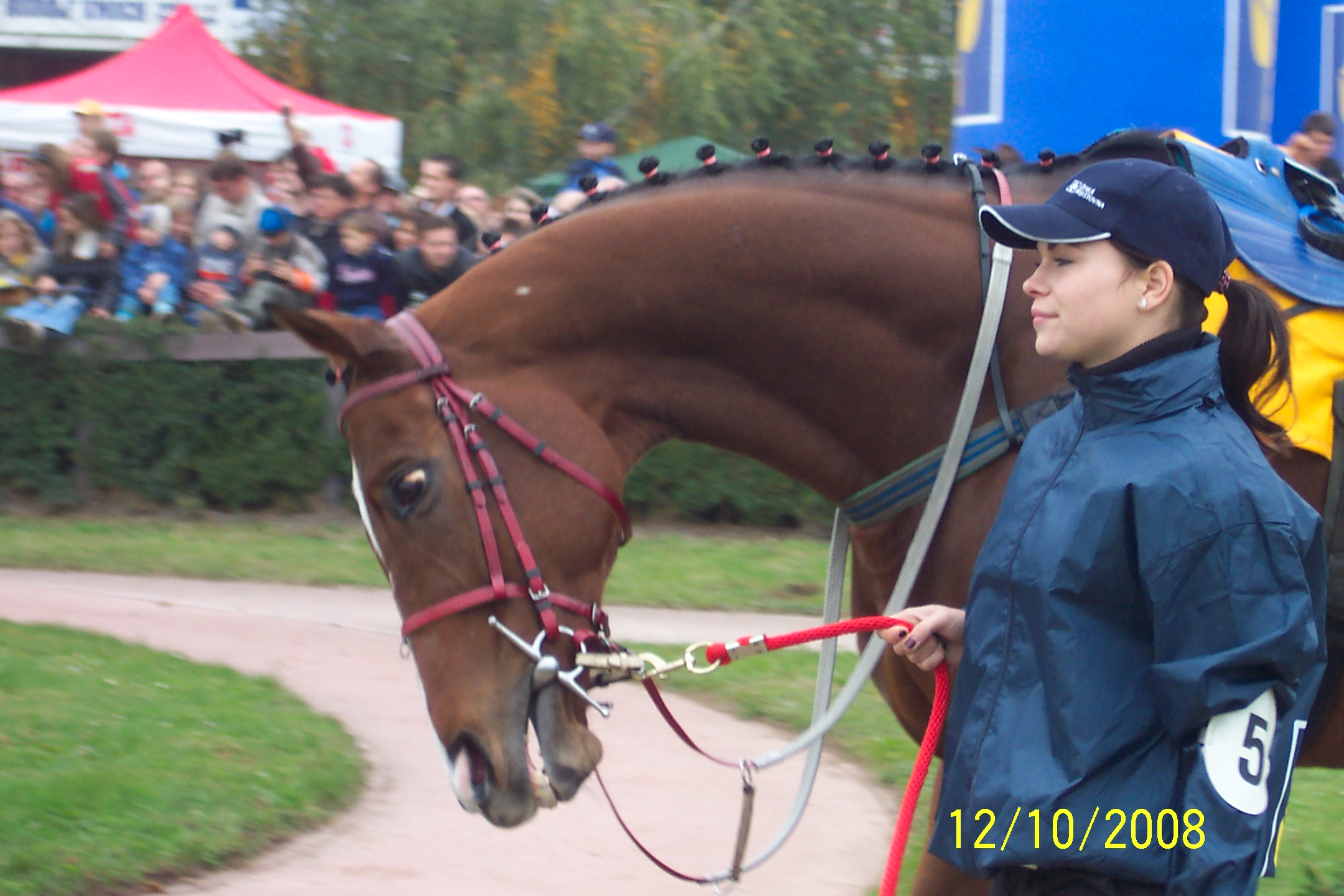 Velka pardubicka 2008 103.jpg