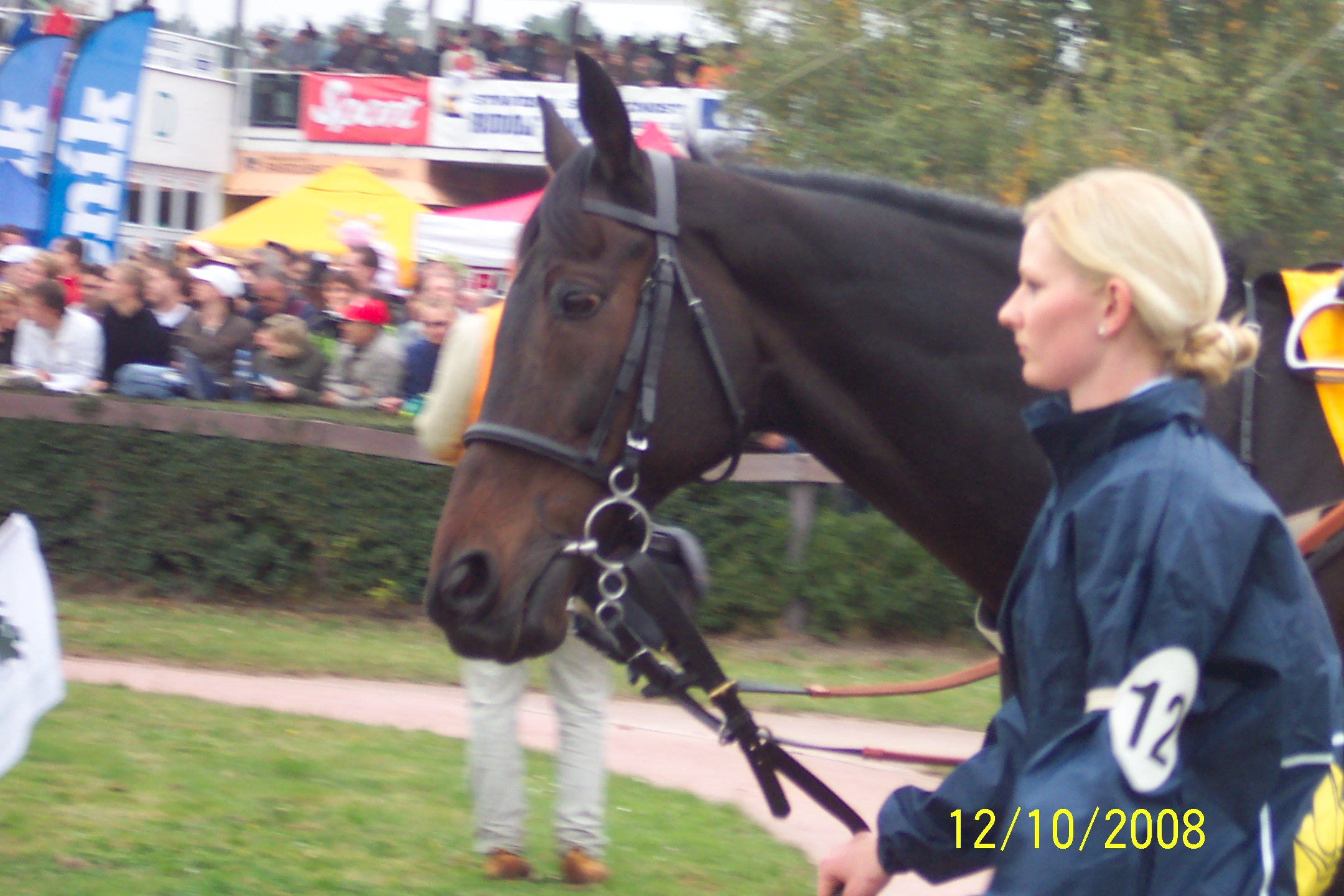 Velka pardubicka 2008 104.jpg