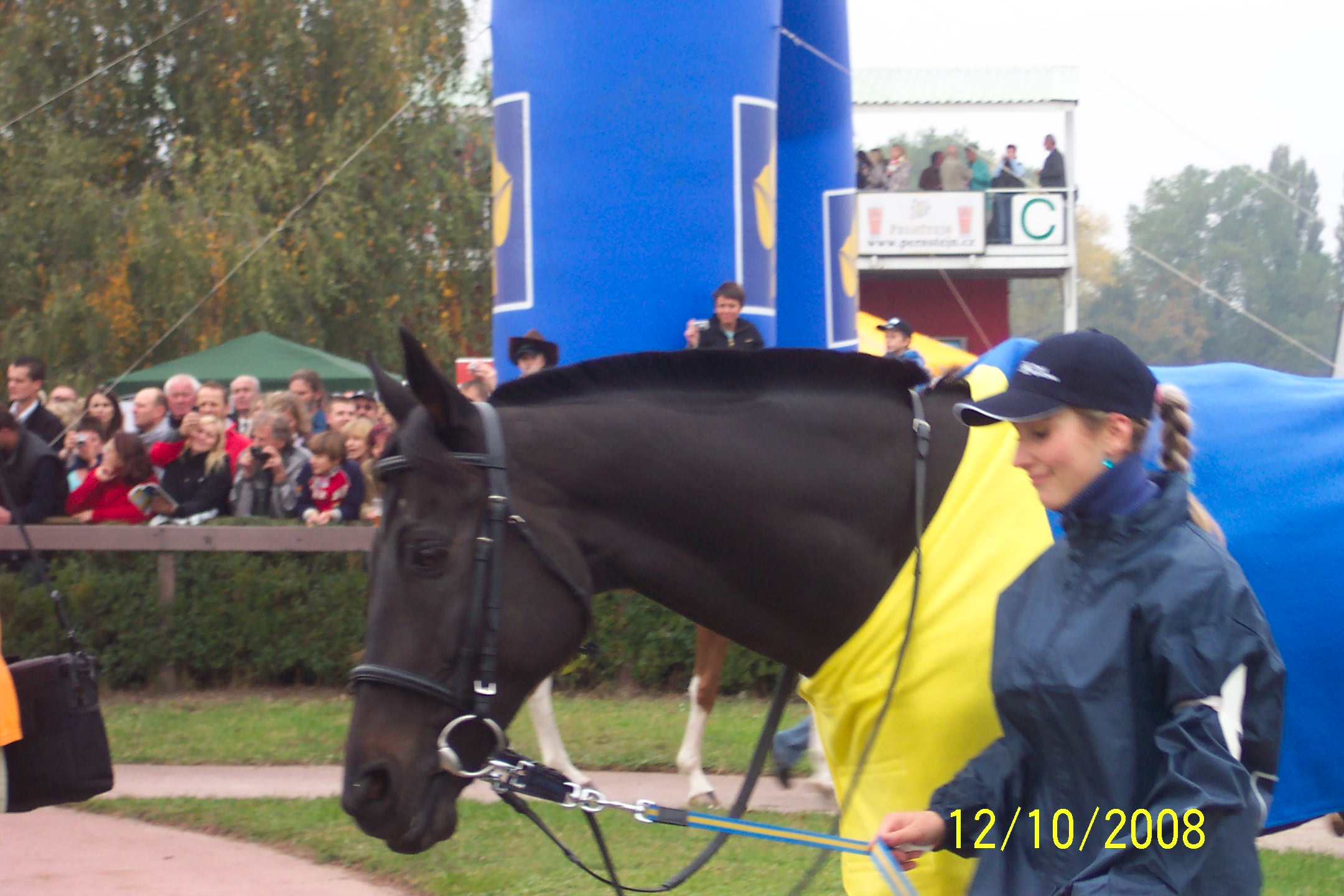 Velka pardubicka 2008 108.jpg