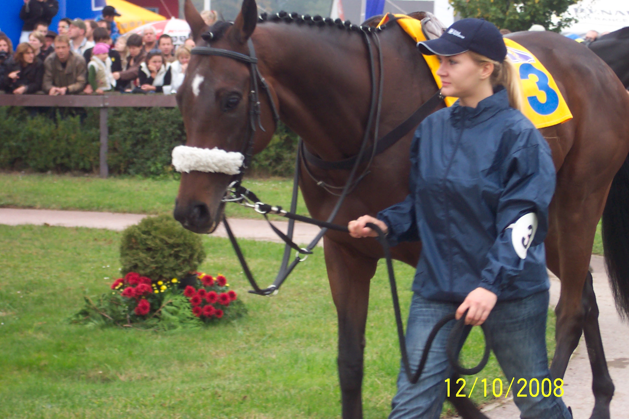 Velka pardubicka 2008 111.jpg