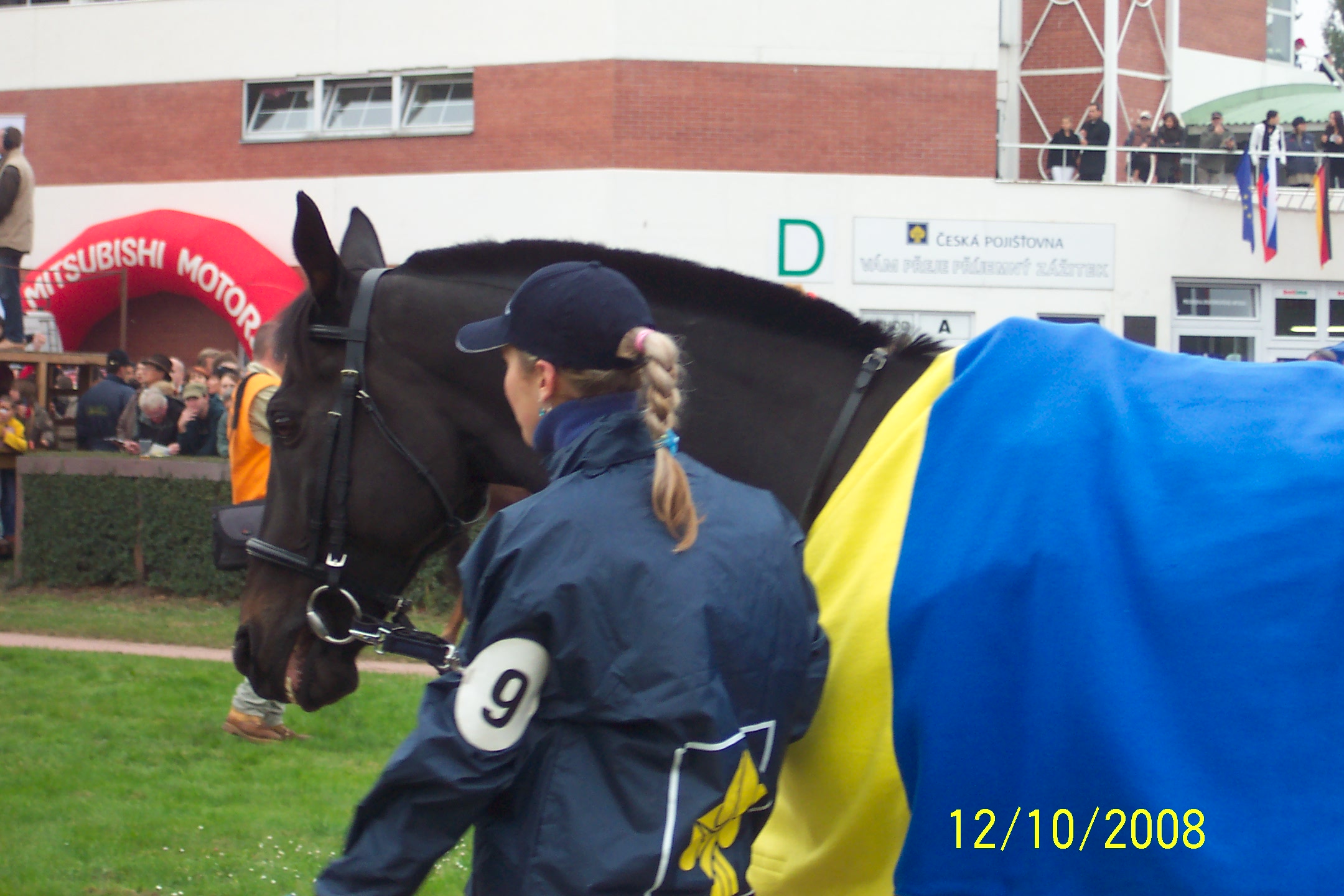 Velka pardubicka 2008 114.jpg