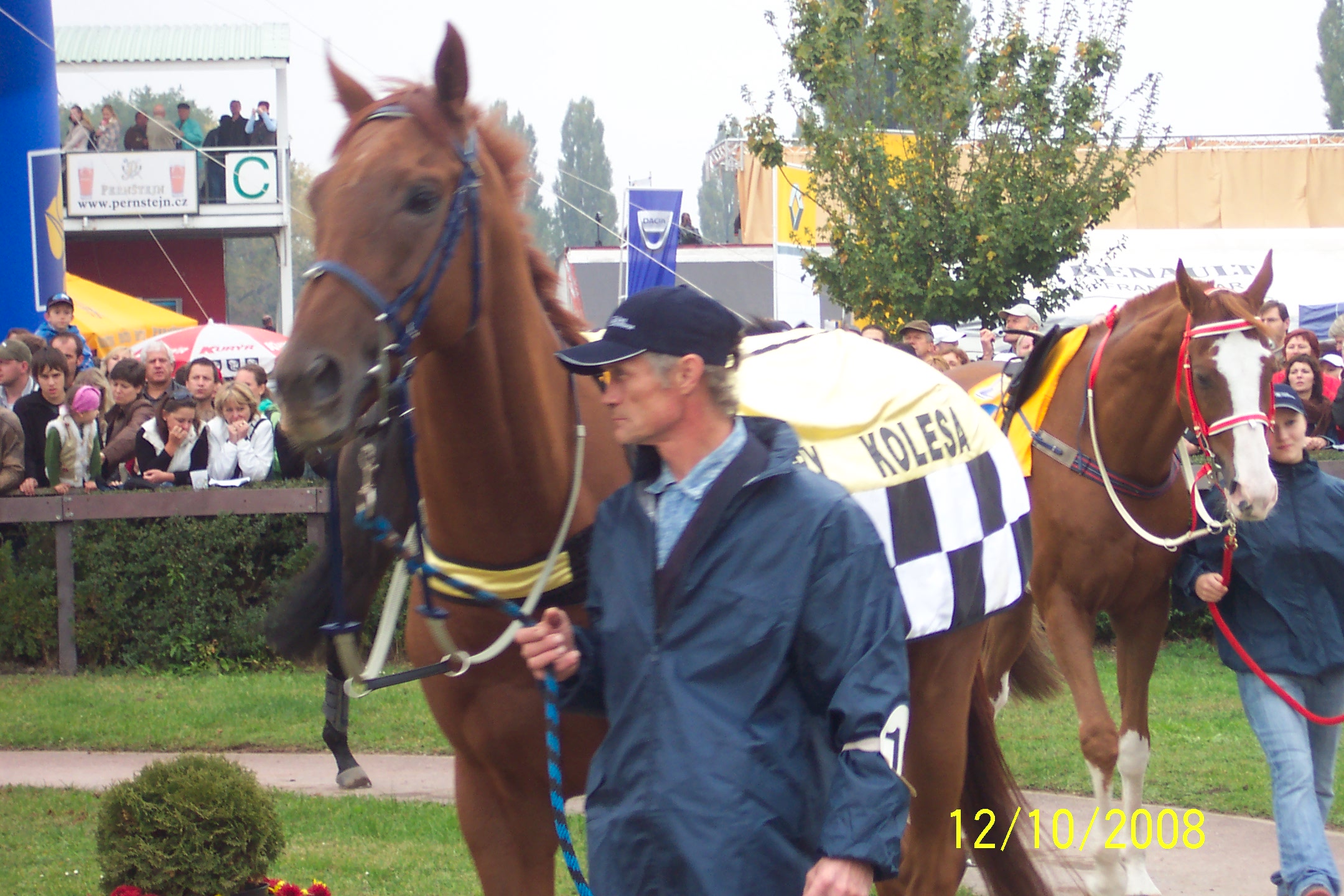 Velka pardubicka 2008 115.jpg