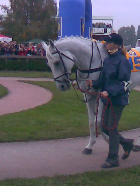 Obraz051.jpg