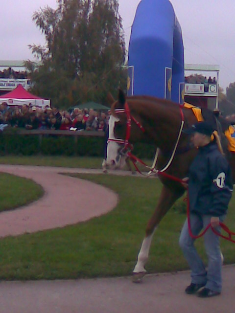 Obraz056.jpg