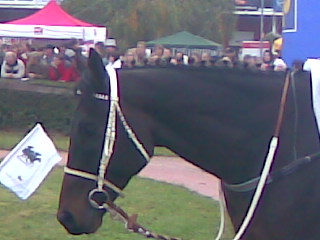 Obraz062.jpg